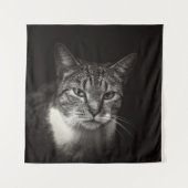 TENTURE CHAT TABLEAU D'ARGENT (Devant)