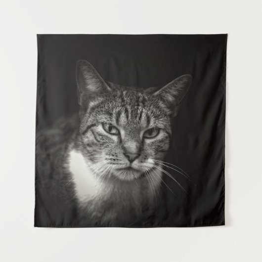 TENTURE CHAT TABLEAU D'ARGENT (Devant)