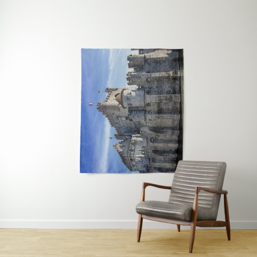 Tenture Château des Comtes de Gand (En situation)