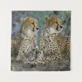 Tenture Cheetah (Devant)