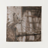 TENTURE CHER AVEC DES ANTLERS (Devant (Horizontal))