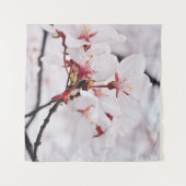 TENTURE CHERRY BLOSSOM FLEURS EN MACRO SHOT (Devant (Horizontal))