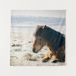 Tenture CHEVAL Brown SITUÉ SUR GRASS PRÈS DE LA PLAGE