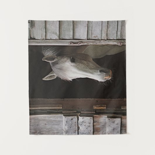 Tenture Cheval gris-jument (Devant)