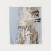 Tenture Cheval islandais | Blonduos, Islande (Devant)