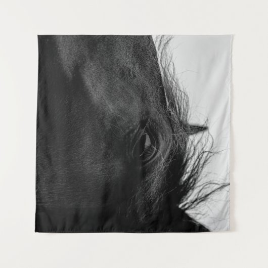 TENTURE CHEVAL NOIR (Devant (Horizontal))