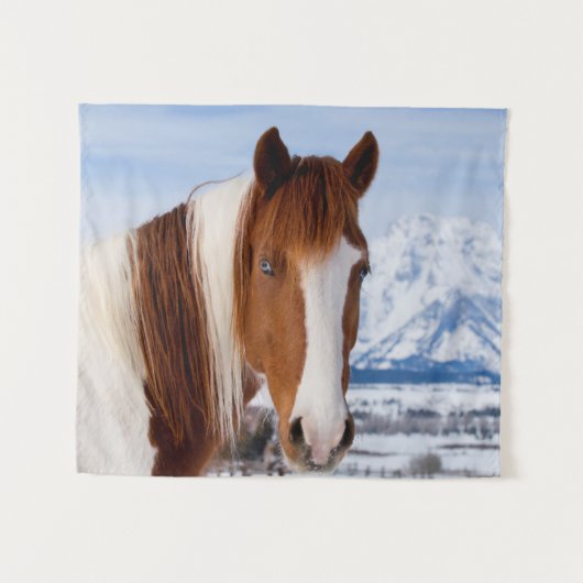 Tenture Cheval Pinto mont Moran en hiver (Devant (Horizontal))