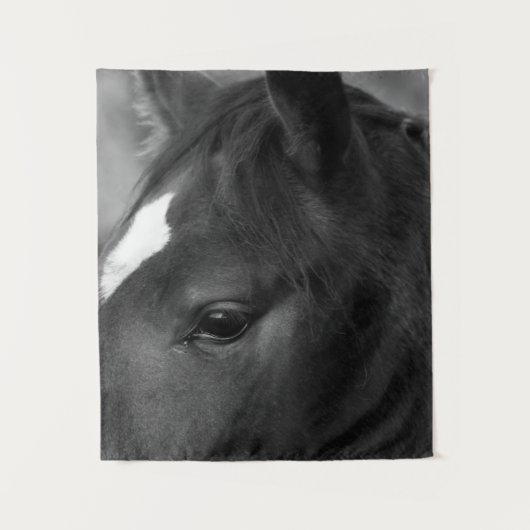 Tenture Cheval wtcnm (Devant)