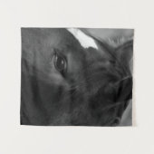 Tenture Cheval wtcnm (Devant (Horizontal))