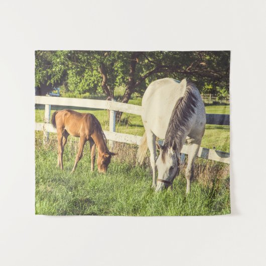 Tenture Chevaux Bébé Animaux de ferme Moyen (Devant (Horizontal))