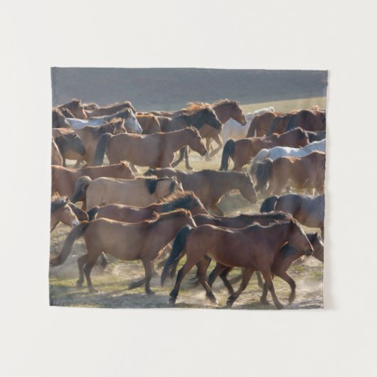 Tenture Chevaux dans le ranch, Mongolie intérieure, Chine (Devant (Horizontal))