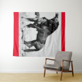 TENTURE CHEVAUX SAUVAGES DE L'UTAH COMBATTANT DES STALLION (En situation (horizontale))