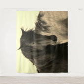 TENTURE CHEVAUX SAUVAGES DE L'UTAH STALLION NOIR (Devant)