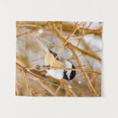 Tenture Chickadee au plafond noir - Photo originale (Devant (Horizontal))