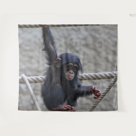 Tenture Chimpanzé 017 (Devant (Horizontal))