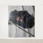 Tenture Chimpanzé 030 (Devant)