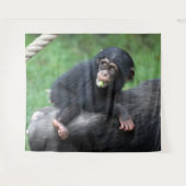 Tenture Chimpanzé 032 (Devant (Horizontal))