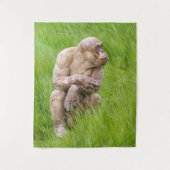 Tenture Chimpanzé sans cheveux (Devant)