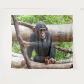 Tenture Chimpanzée 001 (Devant (Horizontal))