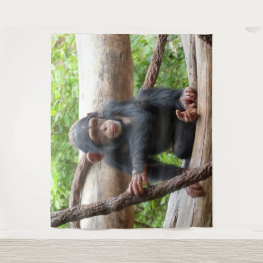 Tenture Chimpanzée 001 (Devant)