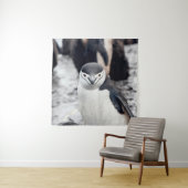TENTURE CHINSTRAP PENGUIN (En situation)