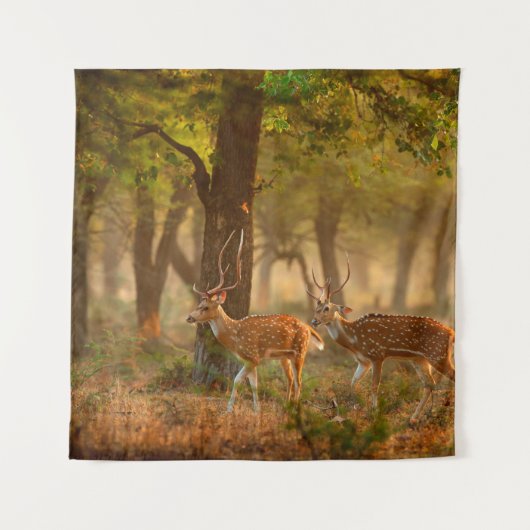 Tenture Chital or cheetal, Axis axis, spotted deers or axi (Devant)