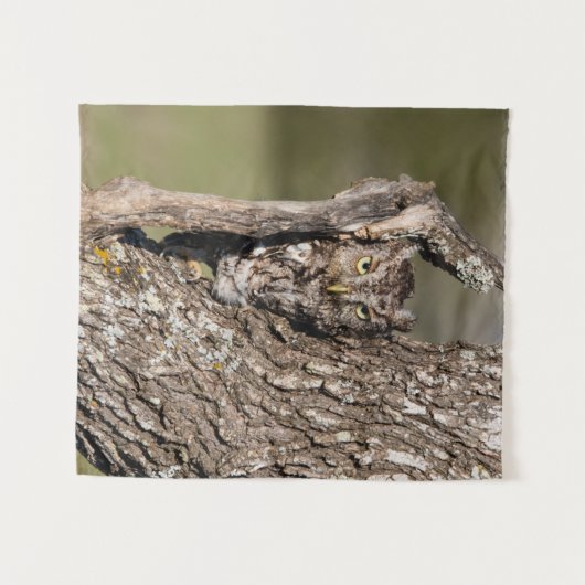 Tenture Chouette de l'Est (Devant (Horizontal))