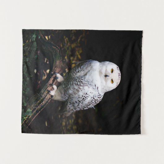 Tenture Chouette hivernale majestueuse (Devant (Horizontal))