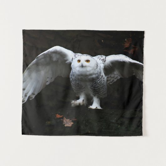 Tenture Chouette neigeuse avec ailes ouvertes wtcna (Devant (Horizontal))