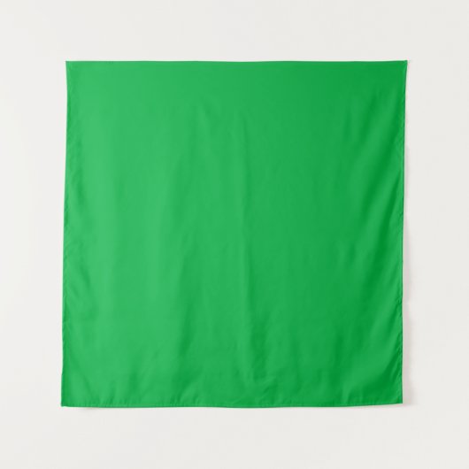 Tenture Chroma couleur clé vert (Devant (Horizontal))