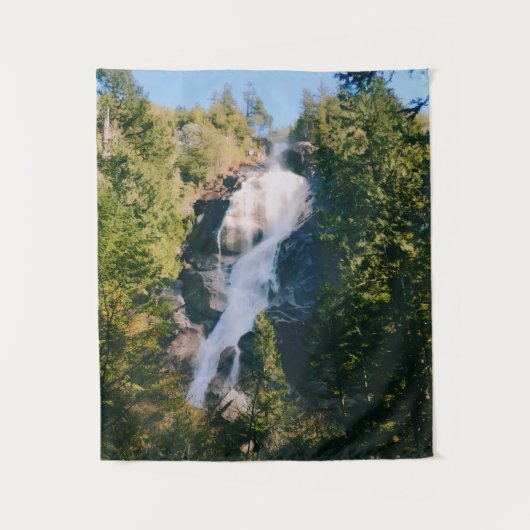Tenture Chutes Shannon, Squamish, Canada  (Devant)