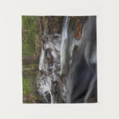 Tenture Chutes sur Sand Spring Run (Devant)