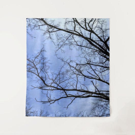 Tenture Ciel d'hiver (Devant)