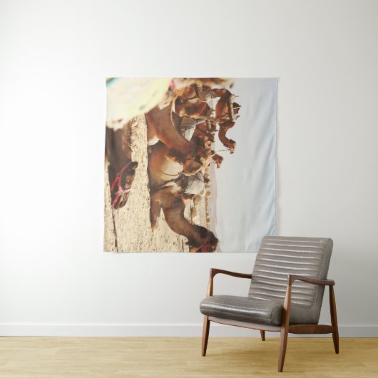 TENTURE CINQ CAMELS SUR LE TERRAIN (En situation (horizontale))