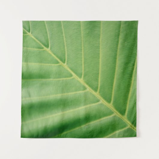 Tenture Close up photo of green leaf (Devant)