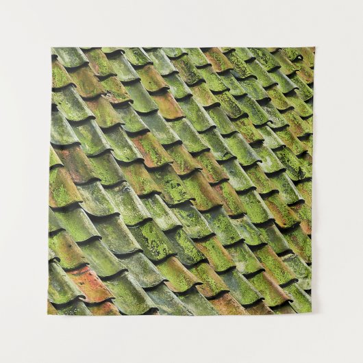 Tenture Close-up photo of green shingle roof (Devant)