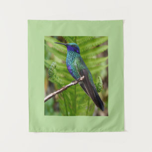Tenture Colibri magnifique
