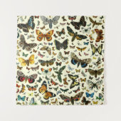 Tenture Collage des papillons de nuit et des papillons de (Devant)