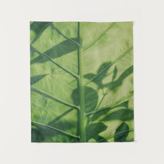 Tenture Colocasia feuille esculenta (Devant)
