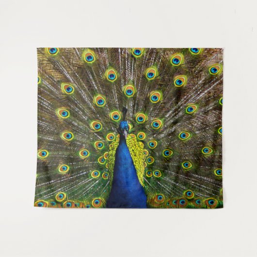 Tenture Colorful peacock (Devant (Horizontal))