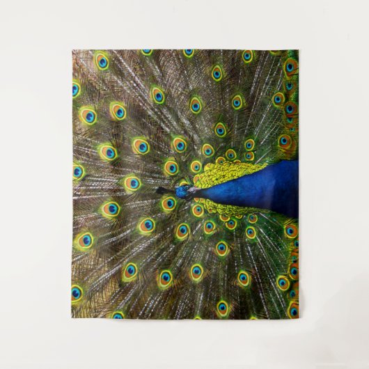 Tenture Colorful peacock (Devant)
