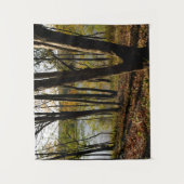 Tenture Connecticut (Devant)