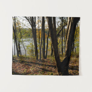 Tenture Connecticut