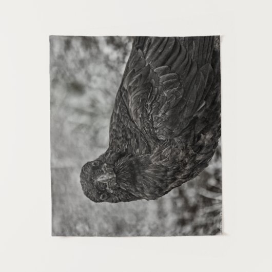 Tenture Corbeau P9239 (Devant)