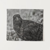 Tenture Corbeau P9239 (Devant (Horizontal))