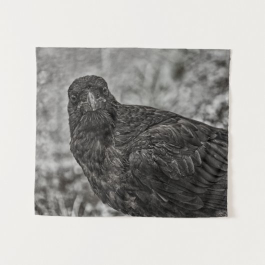 Tenture Corbeau P9239 (Devant (Horizontal))