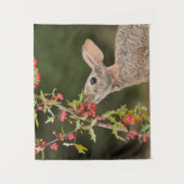 Tenture Cottontail Est | Sud du Texas (Devant)