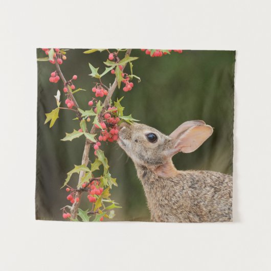 Tenture Cottontail Est | Sud du Texas (Devant (Horizontal))