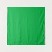 Tenture Couleur de clé Chroma Vert (Devant)