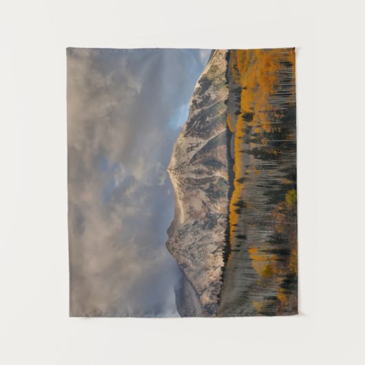 Tenture Couleurs automnales d'Aspens, col Keebler (Devant)